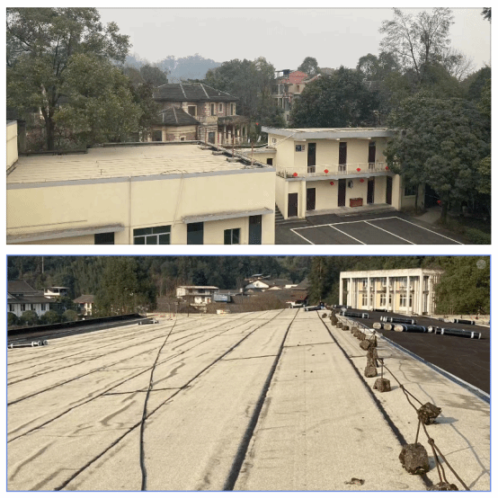 best365英国在线体育